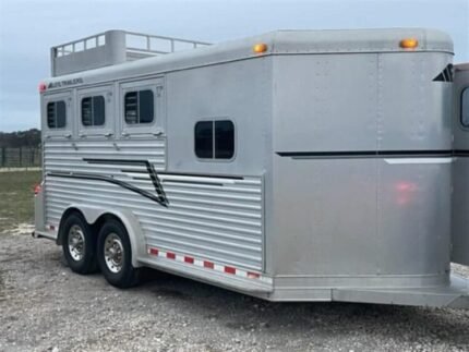 1999 Elite Custom 3 Horse Trailer - C-Solutions LLC